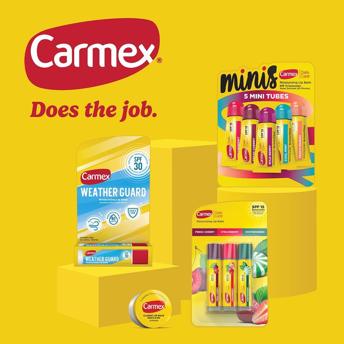 Carmex Daily Care and Daily Care Minis Moisturizing Lip Balm Pack-3 Tubes, 5 Mini Tubes