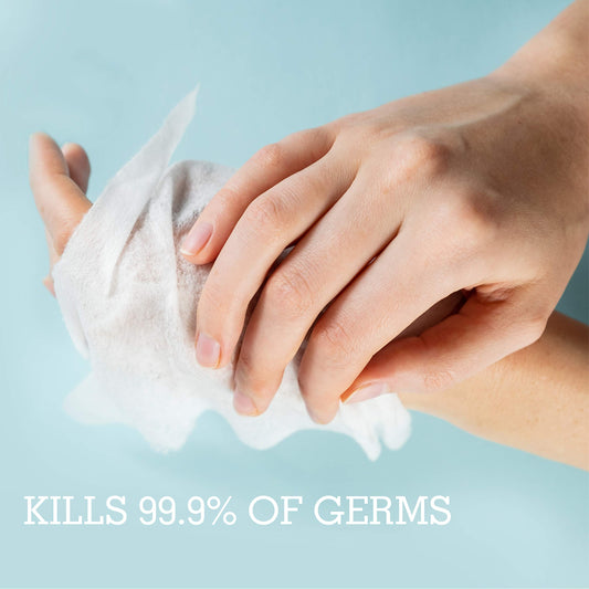 Cleanze Antibacterial Hand Sanitizing Individual Hand Wipe Packets, 50pc