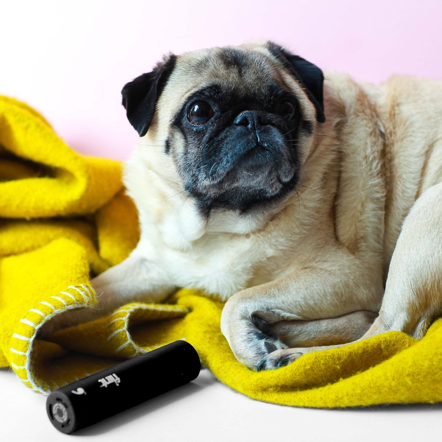 Flint Classic Black Retractable Mini Lint Roller