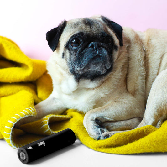 Flint Classic Black Retractable Mini Lint Roller